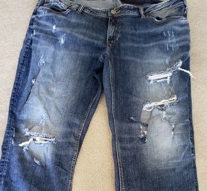 Womens Silver Sam Boyfriend Slim Leg Capris Sz 22w